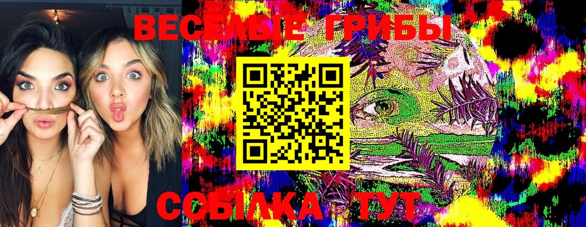 Коломна  Псилоцибиновые грибы Magic Shrooms  Вход с VPN  Псилоцибиновые грибы Psilocybine cubensis 